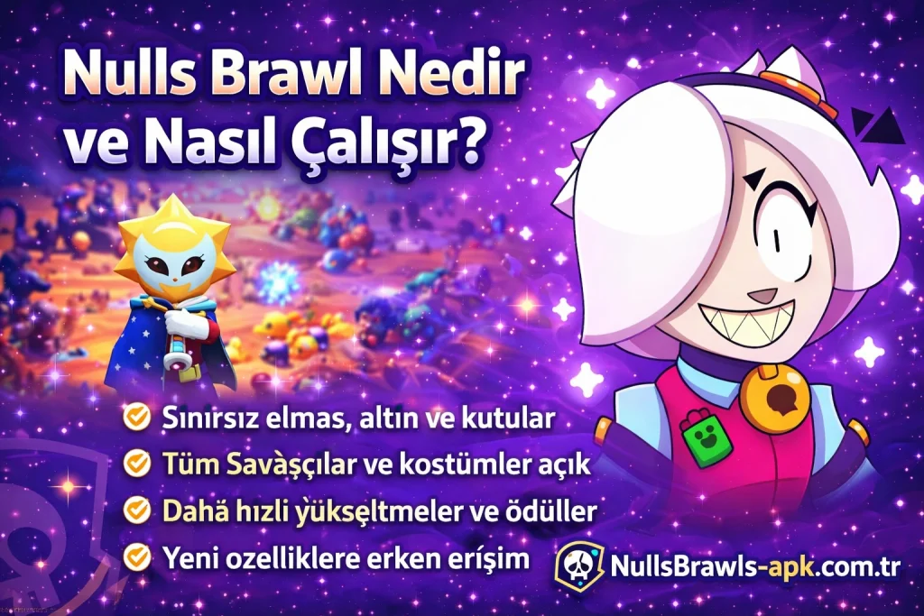 Nulls Brawl